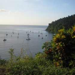 Man of the War Bay