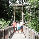 Brücke zum Regenwald