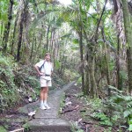 Touristenpfad durch den Regenwald