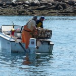 Lobsterfischer bei der Arbeit