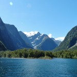 der Milford Sound