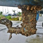 Feinde unter Wasser