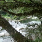 krokofreier River